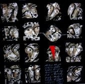 Za veći prikaz kliknite na sliku!