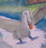 Za veći prikaz kliknite na sliku!